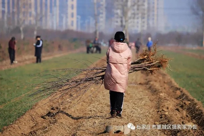 助力复工复产，藁城区文联在行动‘im电竞官方网站’(图8)