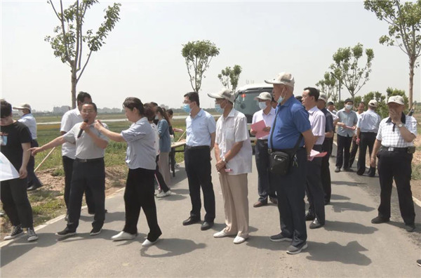 藁城区组织离退休老干部视察全区经济社会发展：半岛官方下载地址(图3)